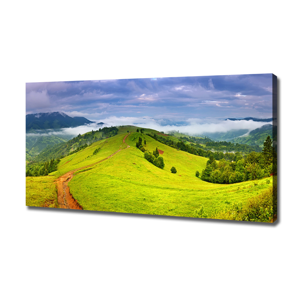 Tableau sur toile Collines vertes