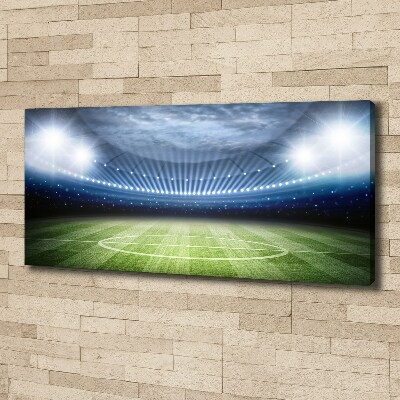 Tableau imprimé sur toile Stade