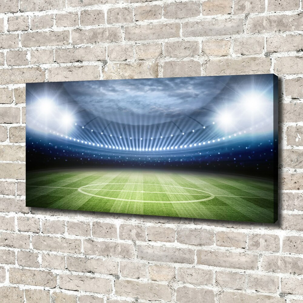 Tableau imprimé sur toile Stade