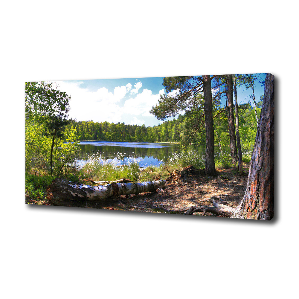 Tableau mural sur toile Panorama de la forêt