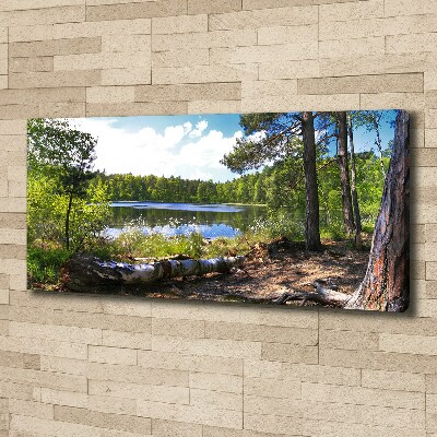 Tableau mural sur toile Panorama de la forêt