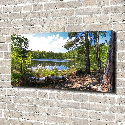 Tableau mural sur toile Panorama de la forêt