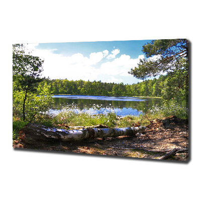 Tableau mural sur toile Panorama de la forêt