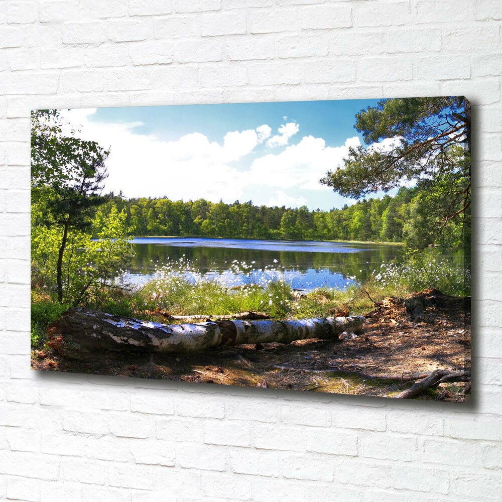 Tableau mural sur toile Panorama de la forêt