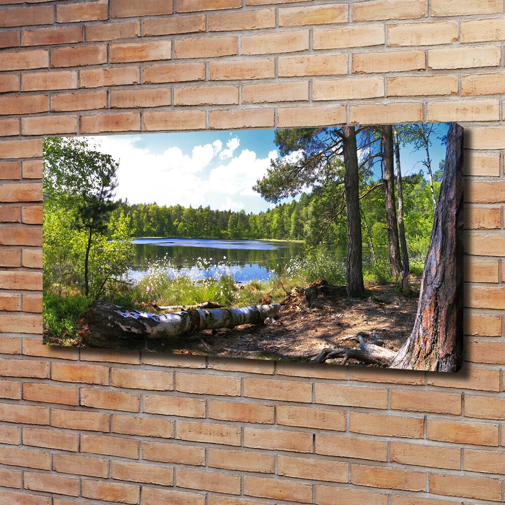 Tableau mural sur toile Panorama de la forêt