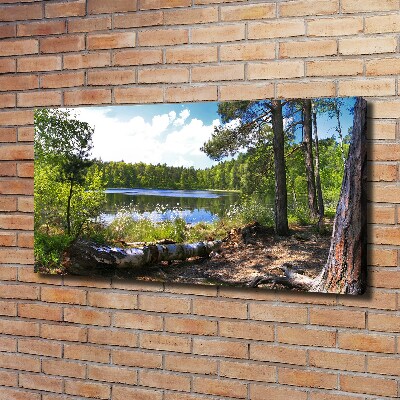 Tableau mural sur toile Panorama de la forêt