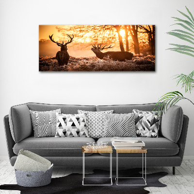 Tableau photo sur toile Cerf à l'est