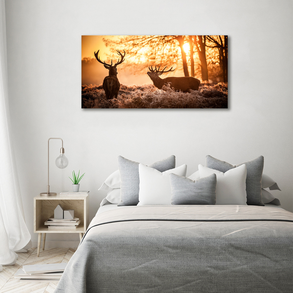 Tableau photo sur toile Cerf à l'est