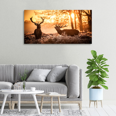 Tableau photo sur toile Cerf à l'est