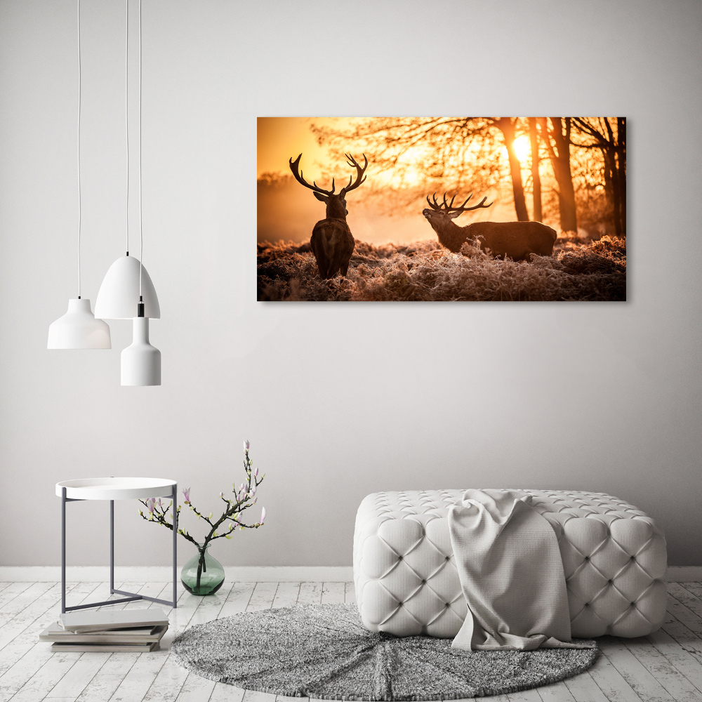 Tableau photo sur toile Cerf à l'est