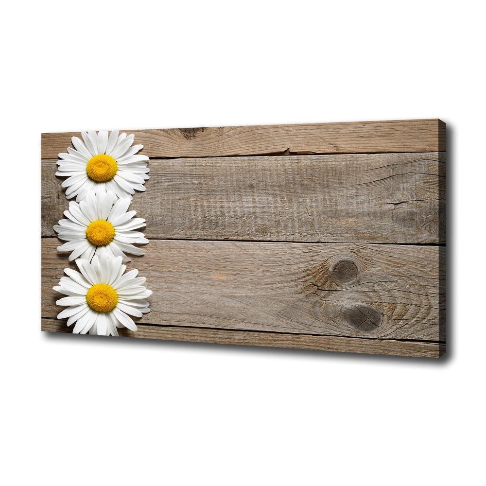 Tableau imprimé sur toile Marguerites bois