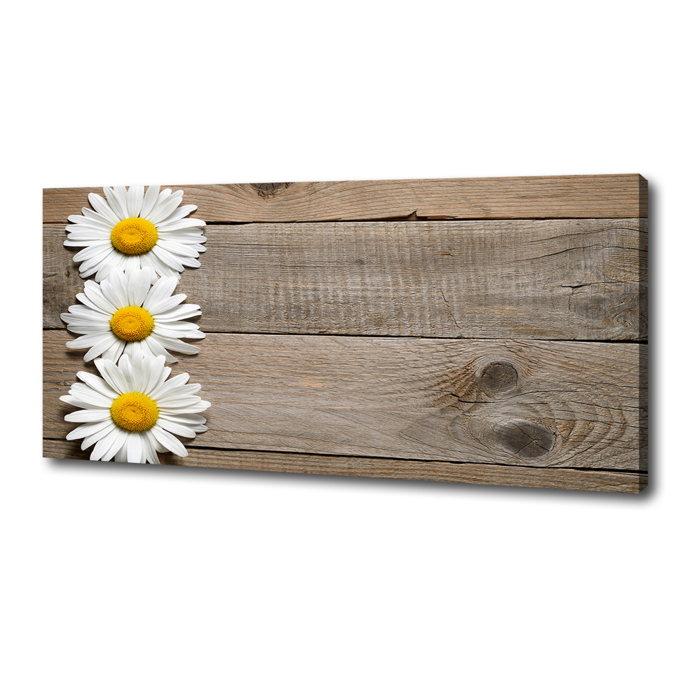 Tableau imprimé sur toile Marguerites bois