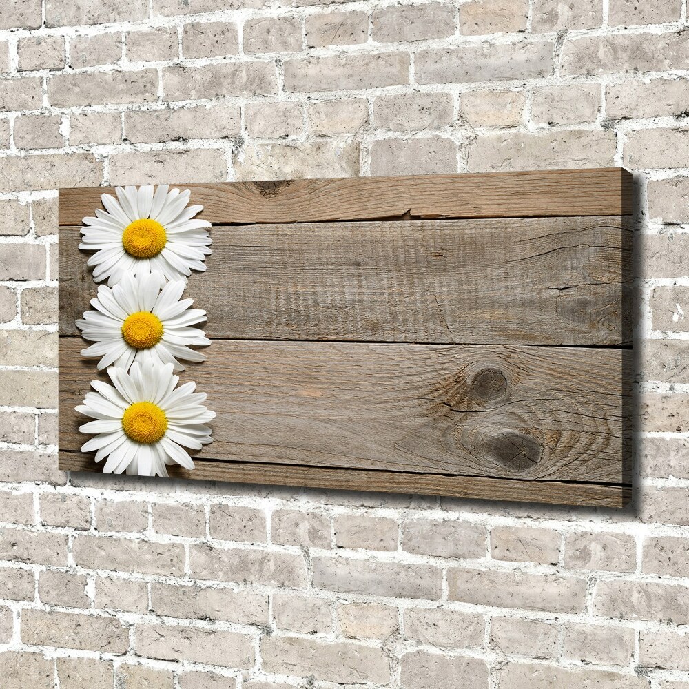 Tableau imprimé sur toile Marguerites bois