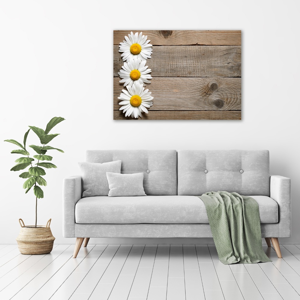 Tableau imprimé sur toile Marguerites bois