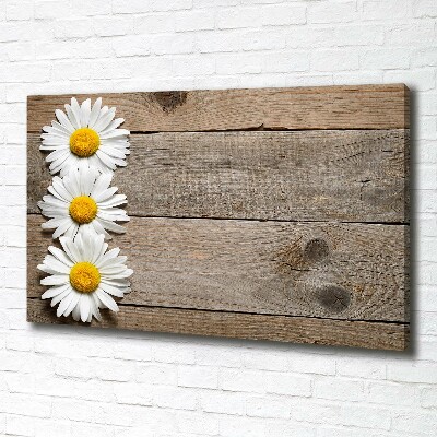 Tableau imprimé sur toile Marguerites bois