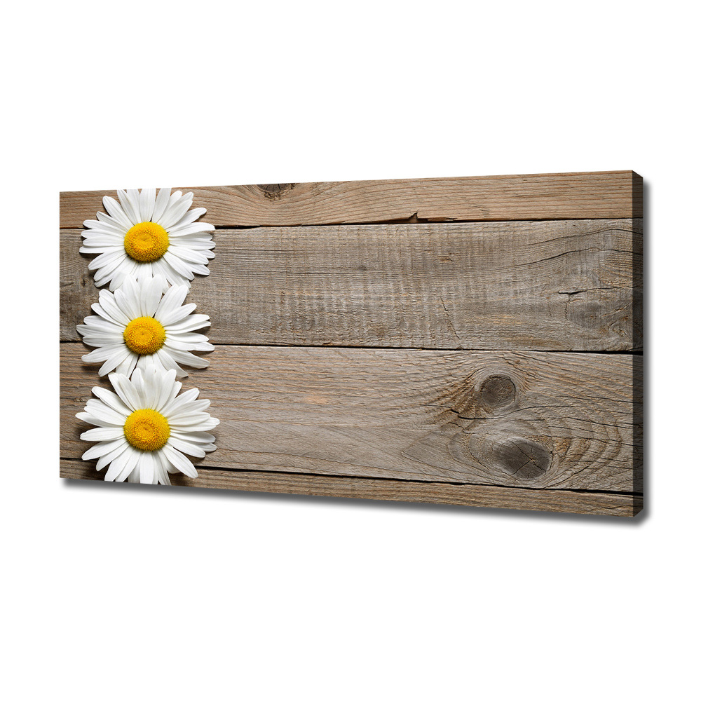 Tableau imprimé sur toile Marguerites bois