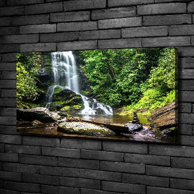 Tableau photo sur toile Cascade en forêt