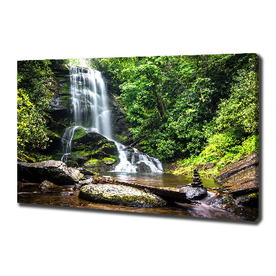 Tableau photo sur toile Cascade en forêt