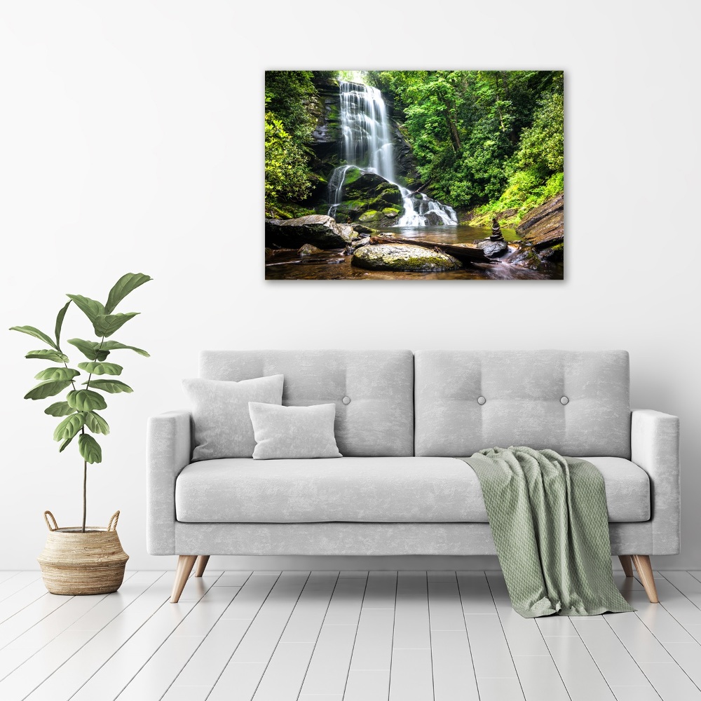 Tableau photo sur toile Cascade en forêt