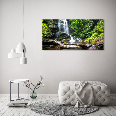 Tableau photo sur toile Cascade en forêt