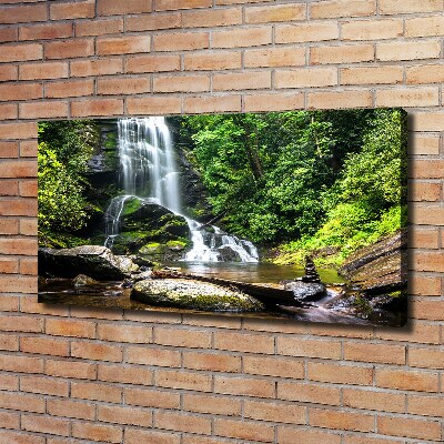 Tableau photo sur toile Cascade en forêt