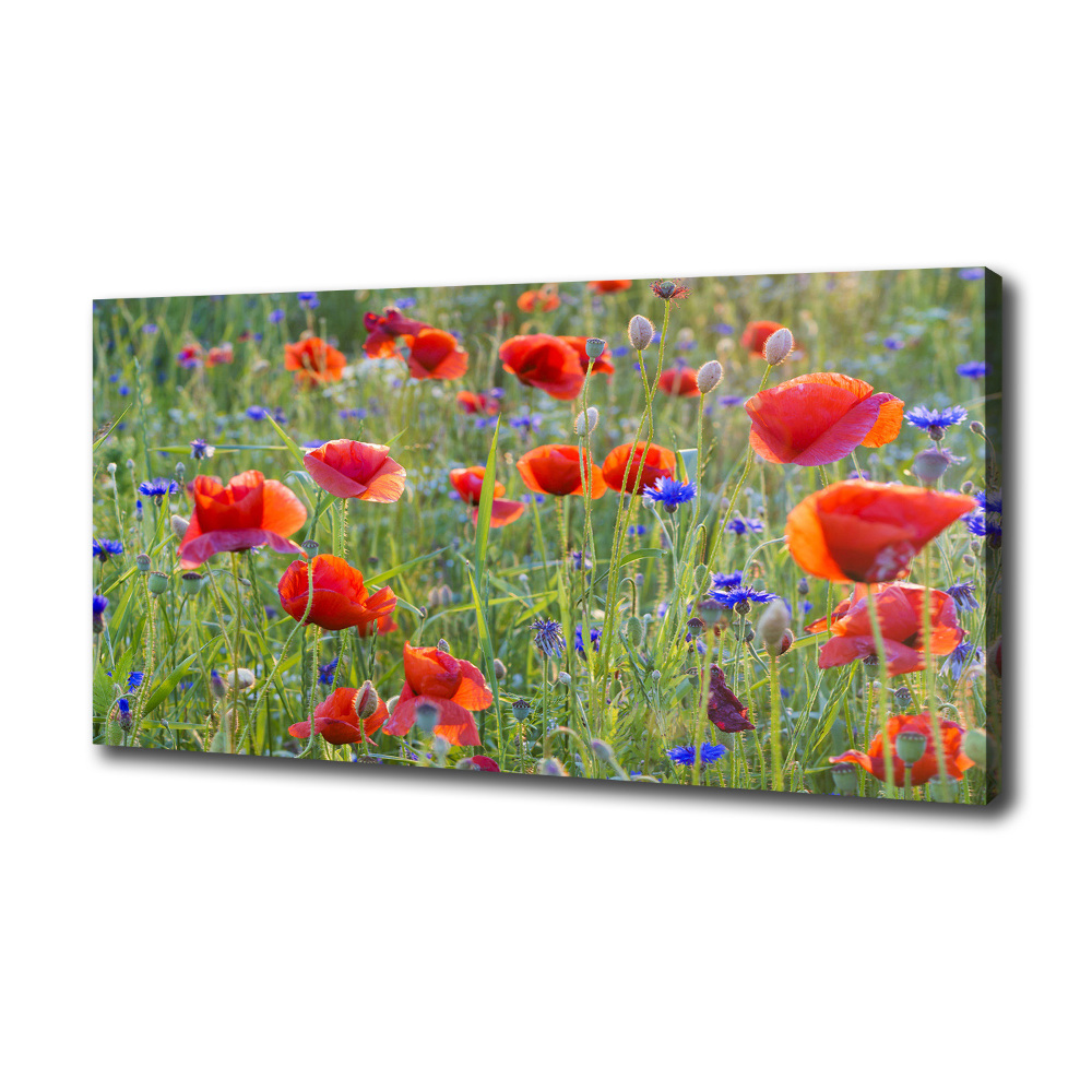 Tableau sur toile Fleurs des champs