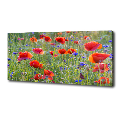 Tableau sur toile Fleurs des champs