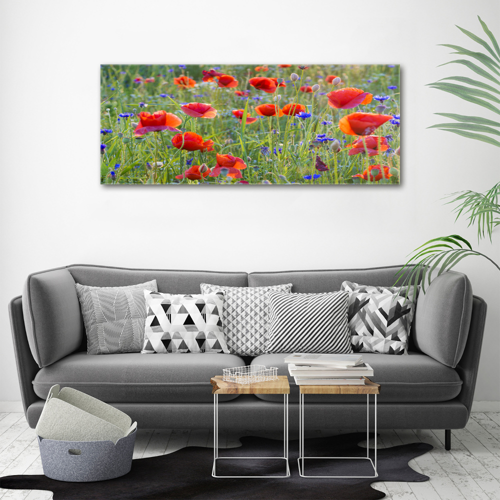 Tableau sur toile Fleurs des champs