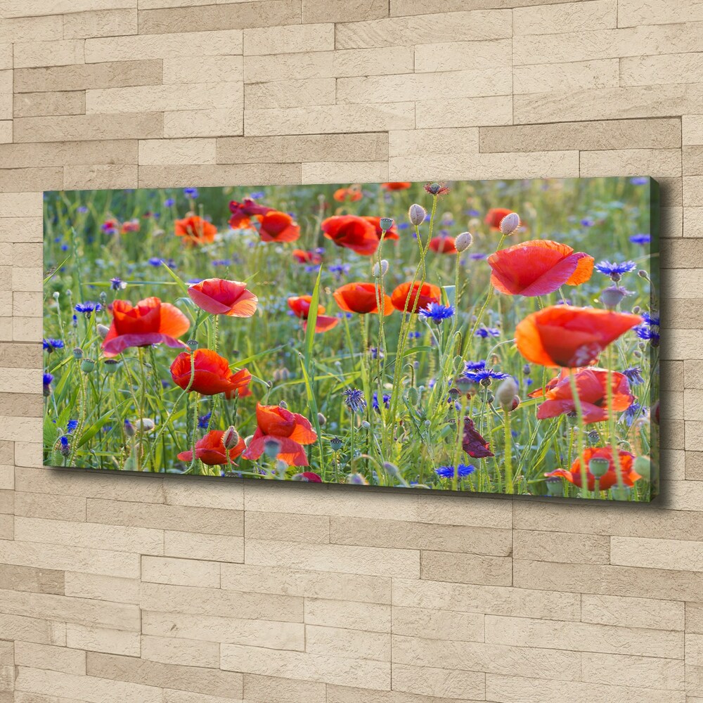 Tableau sur toile Fleurs des champs