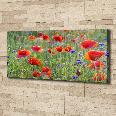 Tableau sur toile Fleurs des champs