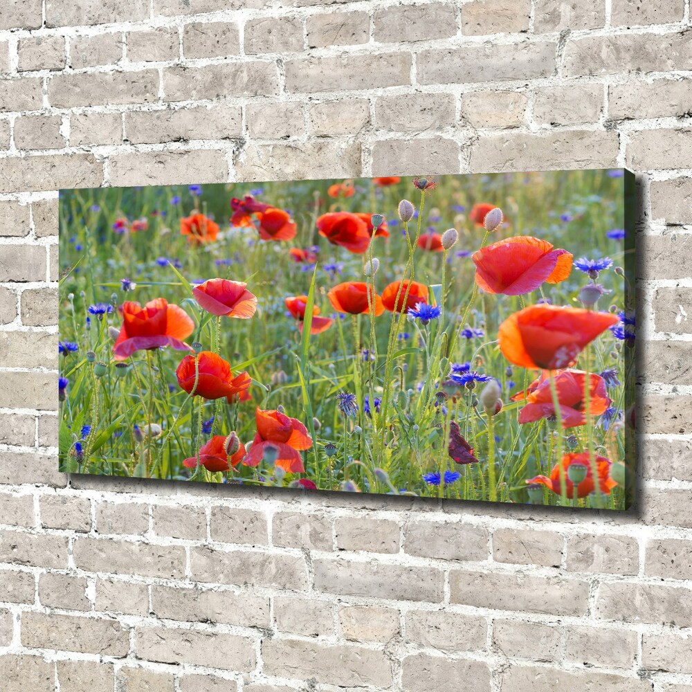 Tableau sur toile Fleurs des champs