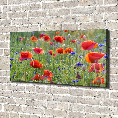 Tableau sur toile Fleurs des champs