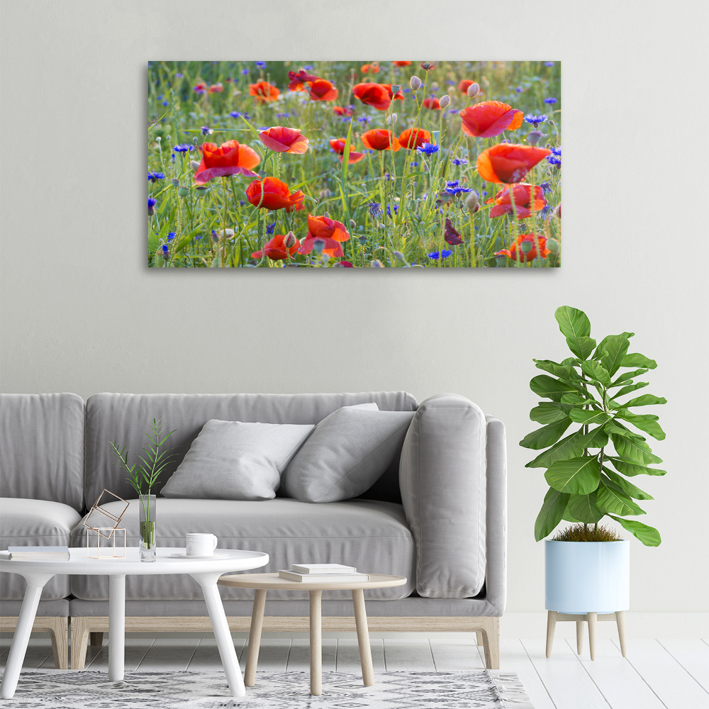 Tableau sur toile Fleurs des champs