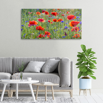 Tableau sur toile Fleurs des champs