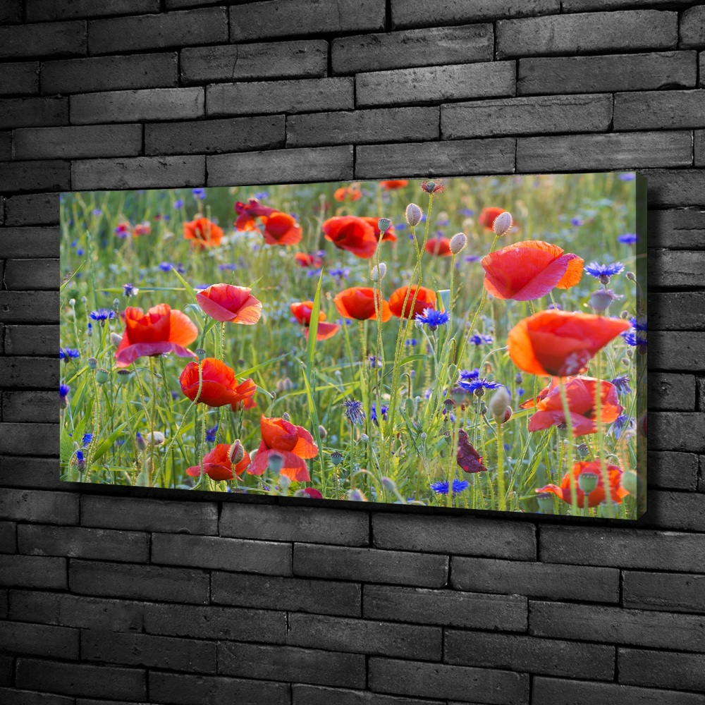 Tableau sur toile Fleurs des champs