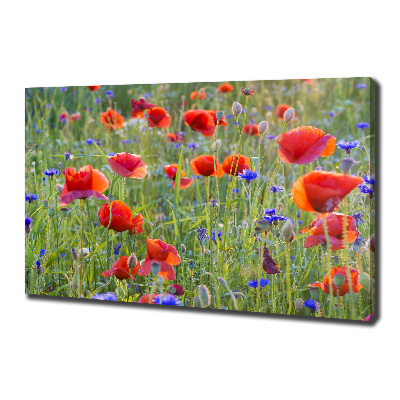 Tableau sur toile Fleurs des champs