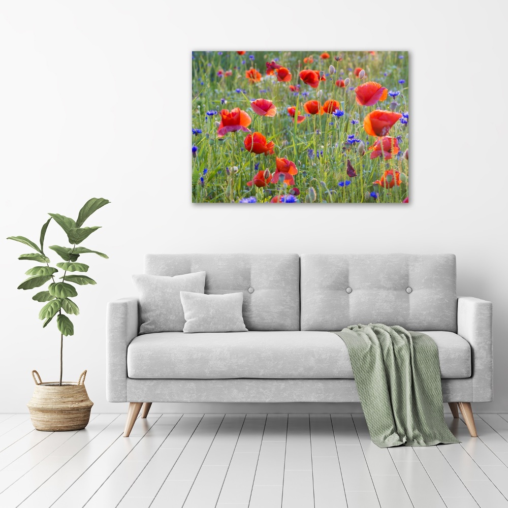 Tableau sur toile Fleurs des champs