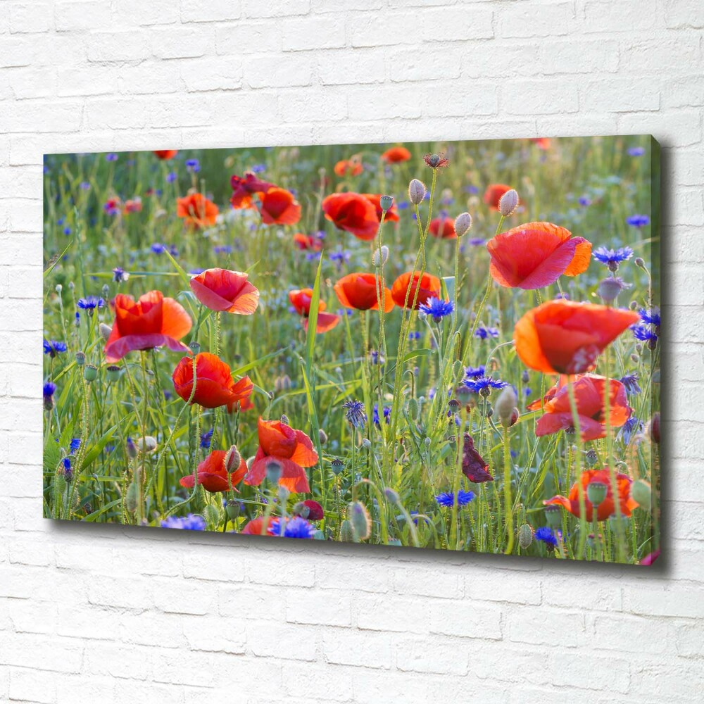 Tableau sur toile Fleurs des champs