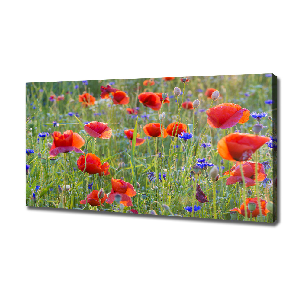 Tableau sur toile Fleurs des champs