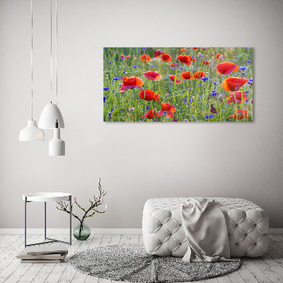 Tableau sur toile Fleurs des champs