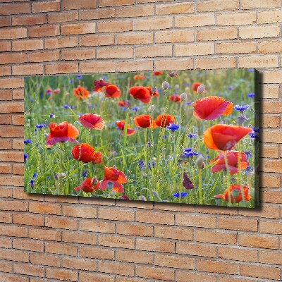 Tableau sur toile Fleurs des champs