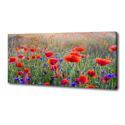 Tableau mural sur toile Fleurs de champ