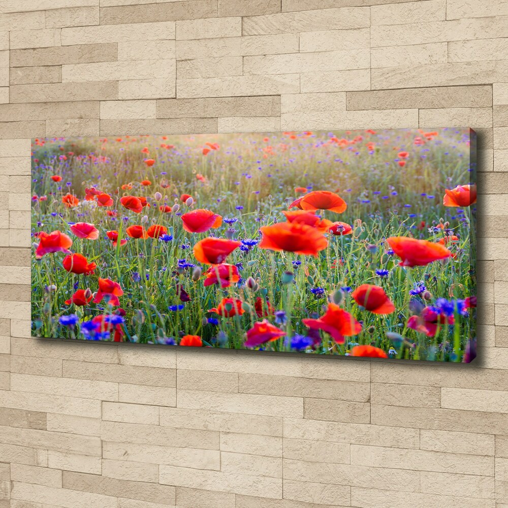 Tableau mural sur toile Fleurs de champ