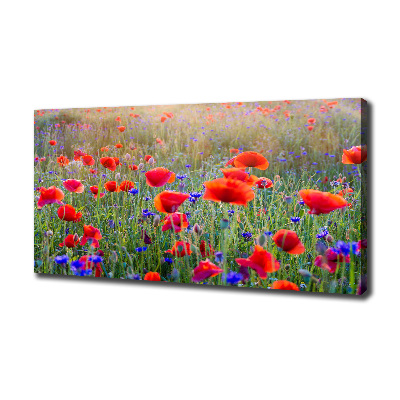 Tableau mural sur toile Fleurs de champ