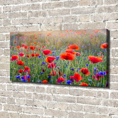 Tableau mural sur toile Fleurs de champ