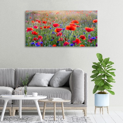 Tableau mural sur toile Fleurs de champ