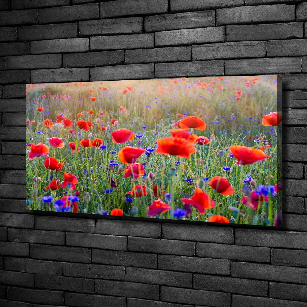 Tableau mural sur toile Fleurs de champ