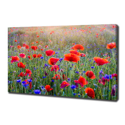 Tableau mural sur toile Fleurs de champ