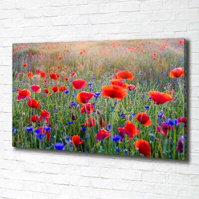 Tableau mural sur toile Fleurs de champ