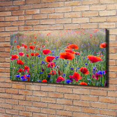 Tableau mural sur toile Fleurs de champ